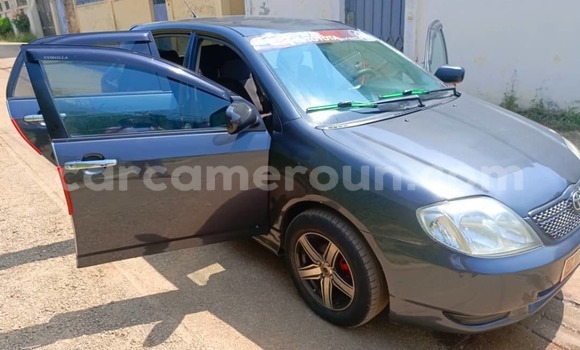 Acheter Occasion Voiture Toyota Runx Gris à Yaoundé, Central Cameroon