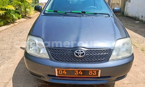 Sayi Na hannu Toyota Runx Azurfa Mota in Yaounde a Babban Kamaru Sayi Na hannu Toyota Runx Azurfa Mota in Yaounde a Babban Kamaru