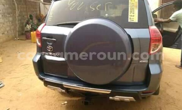 Buy Used Toyota RAV4 Other Car in Yaounde in Central Cameroon Buy Used Toyota RAV4 Other Car in Yaounde in Central Cameroon