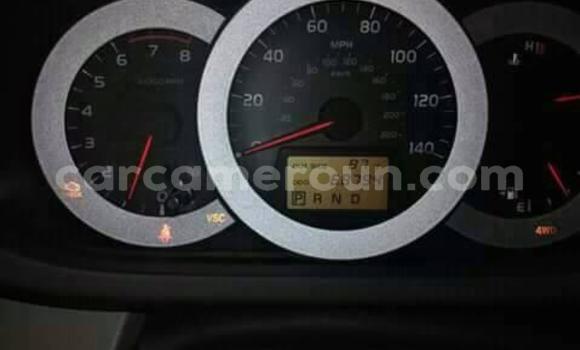 Buy Used Toyota RAV4 Other Car in Yaounde in Central Cameroon Buy Used Toyota RAV4 Other Car in Yaounde in Central Cameroon