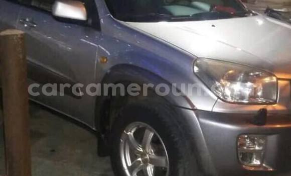 Buy Used Toyota RAV4 Silver Car in Yaounde in Central Cameroon Buy Used Toyota RAV4 Silver Car in Yaounde in Central Cameroon