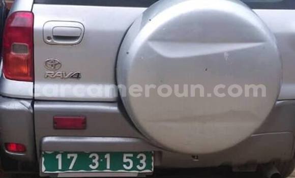Buy Used Toyota RAV4 Silver Car in Yaounde in Central Cameroon Buy Used Toyota RAV4 Silver Car in Yaounde in Central Cameroon