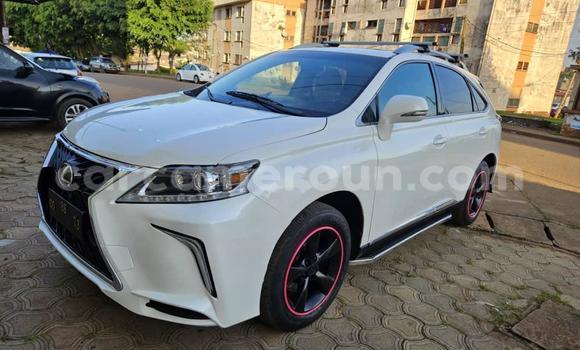 Buy Used Lexus RX 350 White Car in Yaounde in Central Cameroon