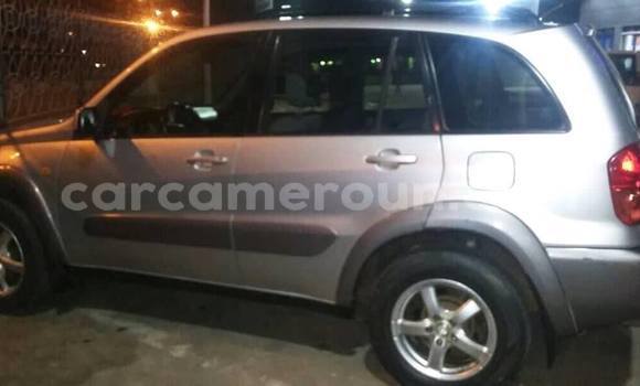 Buy Used Toyota RAV4 Silver Car in Yaounde in Central Cameroon Buy Used Toyota RAV4 Silver Car in Yaounde in Central Cameroon