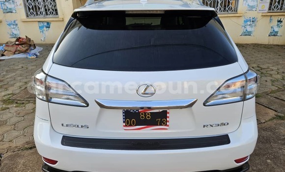 Buy Used Lexus RX 350 White Car in Yaounde in Central Cameroon Buy Used Lexus RX 350 White Car in Yaounde in Central Cameroon