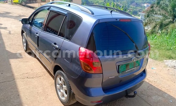 Buy Used Toyota Corolla Silver Car in Yaounde in Central Cameroon Buy Used Toyota Corolla Silver Car in Yaounde in Central Cameroon