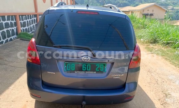 Buy Used Toyota Corolla Silver Car in Yaounde in Central Cameroon Buy Used Toyota Corolla Silver Car in Yaounde in Central Cameroon