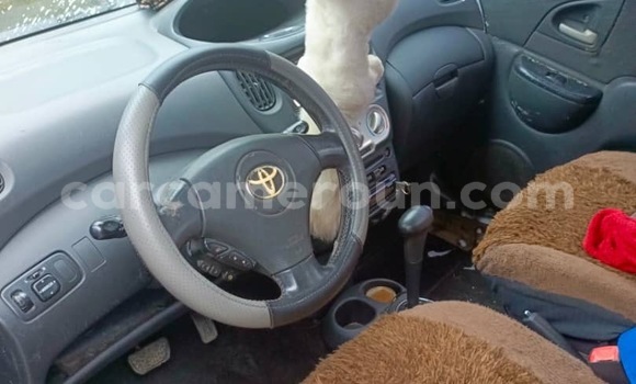 Acheter Occasion Voiture Toyota Yaris Verso Autre à Douala, Littoral Cameroon Acheter Occasion Voiture Toyota Yaris Verso Autre à Douala, Littoral Cameroon