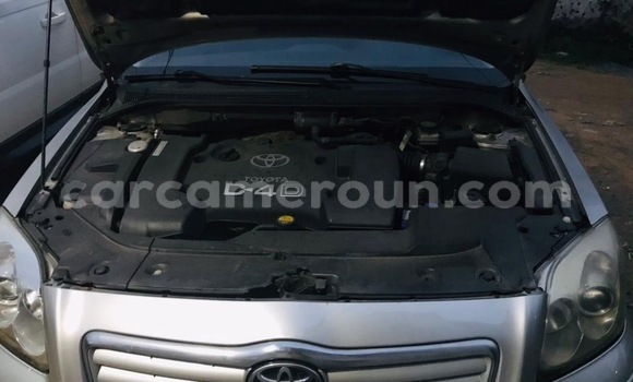 Buy Import Toyota Avensis Silver Car in Douala in Littoral Cameroon Buy Import Toyota Avensis Silver Car in Douala in Littoral Cameroon