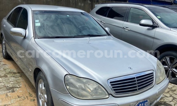 Acheter Import Voiture Mercedes‒Benz S–Class Gris à Douala, Littoral Cameroon Acheter Import Voiture Mercedes‒Benz S–Class Gris à Douala, Littoral Cameroon