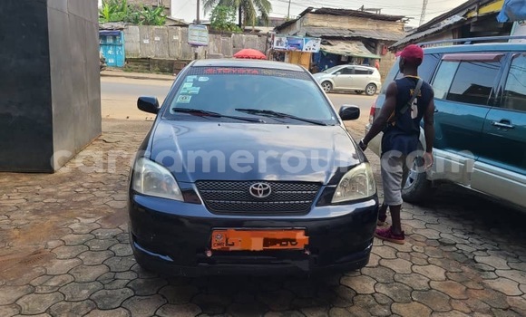 Acheter Neuf Voiture Toyota Corolla Noir à Douala, Littoral Cameroon Acheter Neuf Voiture Toyota Corolla Noir à Douala, Littoral Cameroon