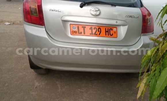 Acheter Occasion Voiture Toyota Corolla Gris à Douala, Littoral Cameroon Acheter Occasion Voiture Toyota Corolla Gris à Douala, Littoral Cameroon
