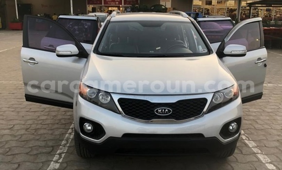 Buy Used Kia Sorento Silver Car in Yaounde in Central Cameroon Buy Used Kia Sorento Silver Car in Yaounde in Central Cameroon