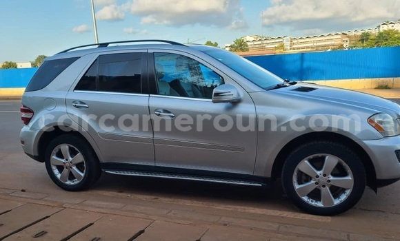 Acheter Occasion Voiture Mercedes Viano Gris à Yaoundé, Central Cameroon