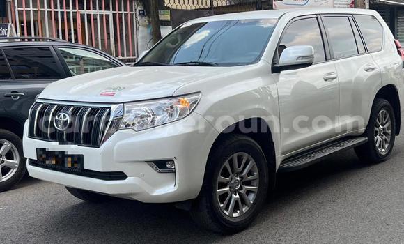 Buy Used Toyota Prado White Car in Douala in Littoral Cameroon