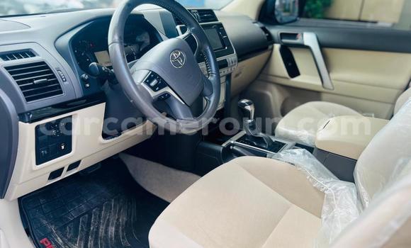 Acheter Occasion Voiture Toyota Prado Blanc à Douala, Littoral Cameroon Acheter Occasion Voiture Toyota Prado Blanc à Douala, Littoral Cameroon