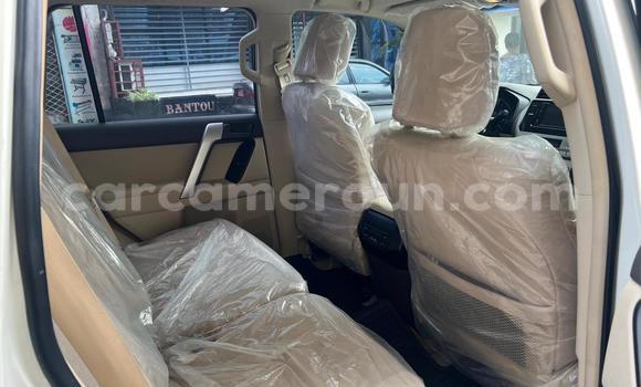 Acheter Occasion Voiture Toyota Prado Blanc à Douala, Littoral Cameroon Acheter Occasion Voiture Toyota Prado Blanc à Douala, Littoral Cameroon