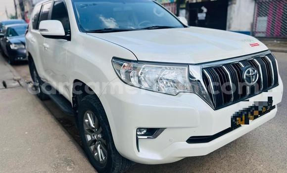 Acheter Occasion Voiture Toyota Prado Blanc à Douala, Littoral Cameroon Acheter Occasion Voiture Toyota Prado Blanc à Douala, Littoral Cameroon