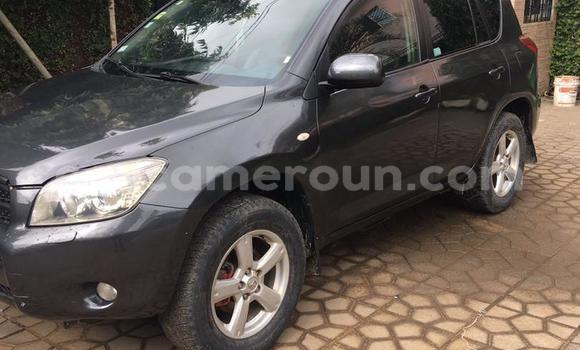 Acheter Occasion Voiture Toyota RAV4 Marron à Douala, Littoral Cameroon