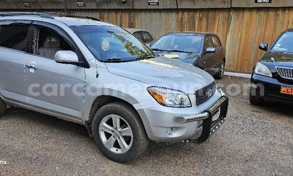 Buy Used Toyota RAV4 Silver Car in Yaounde in Central Cameroon