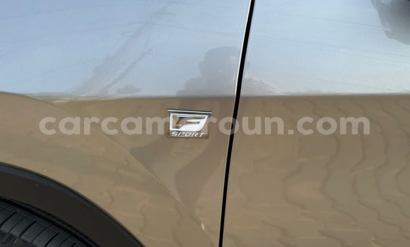 Acheter Import Voiture Lexus RX 350 Gris à Douala, Littoral Cameroon Acheter Import Voiture Lexus RX 350 Gris à Douala, Littoral Cameroon