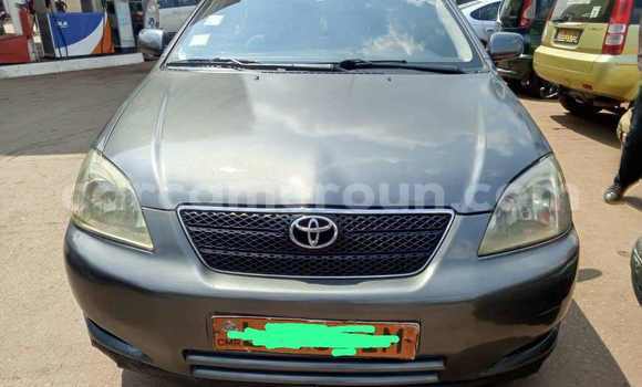 Buy Used Toyota Corolla Silver Car in Yaounde in Central Cameroon