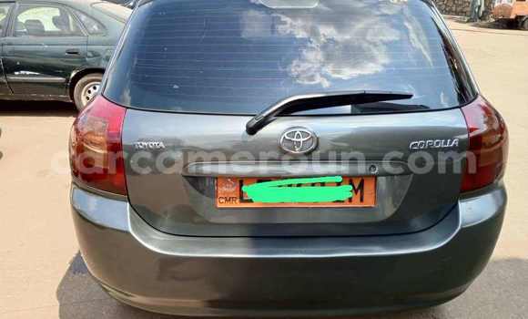 Acheter Occasion Voiture Toyota Corolla Gris à Yaoundé, Central Cameroon Acheter Occasion Voiture Toyota Corolla Gris à Yaoundé, Central Cameroon