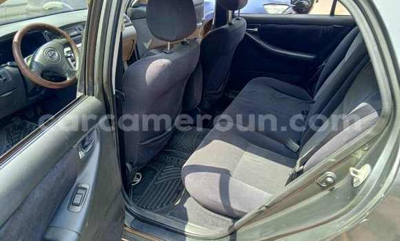 Acheter Occasion Voiture Toyota Corolla Gris à Yaoundé, Central Cameroon Acheter Occasion Voiture Toyota Corolla Gris à Yaoundé, Central Cameroon