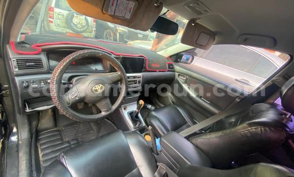 Sayi Na hannu Toyota Corolla Black Mota in Douala a Ƙasar Kamaru Sayi Na hannu Toyota Corolla Black Mota in Douala a Ƙasar Kamaru