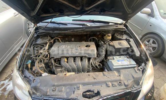 Sayi Na hannu Toyota Corolla Black Mota in Douala a Ƙasar Kamaru Sayi Na hannu Toyota Corolla Black Mota in Douala a Ƙasar Kamaru