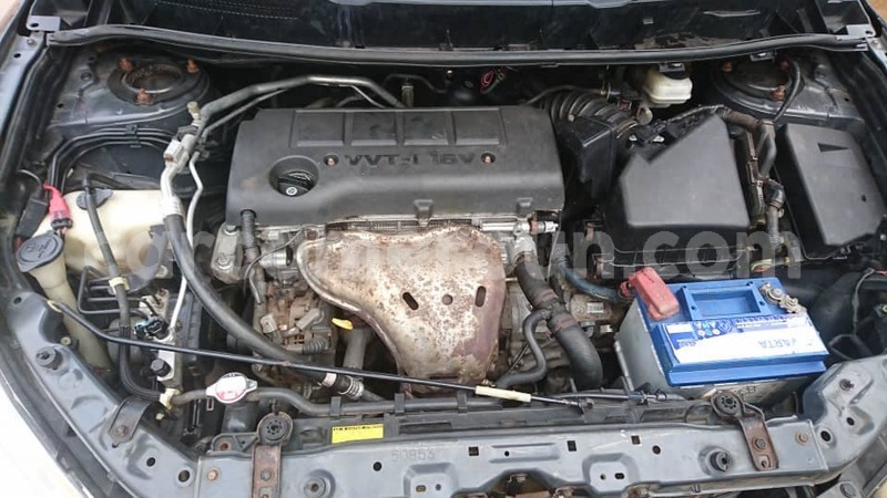 Big with watermark 40029740 876538325877617 572590930935152640 n