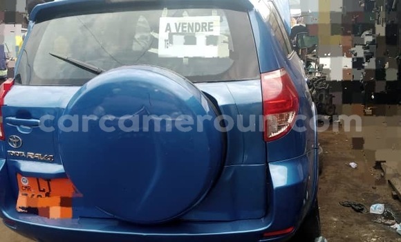 Buy New Toyota RAV4 Blue Car in Douala in Littoral Cameroon Buy New Toyota RAV4 Blue Car in Douala in Littoral Cameroon