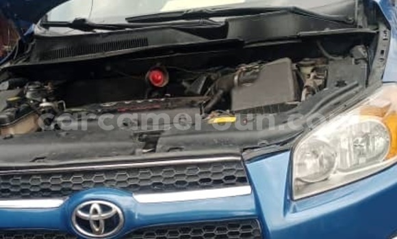 Buy New Toyota RAV4 Blue Car in Douala in Littoral Cameroon Buy New Toyota RAV4 Blue Car in Douala in Littoral Cameroon