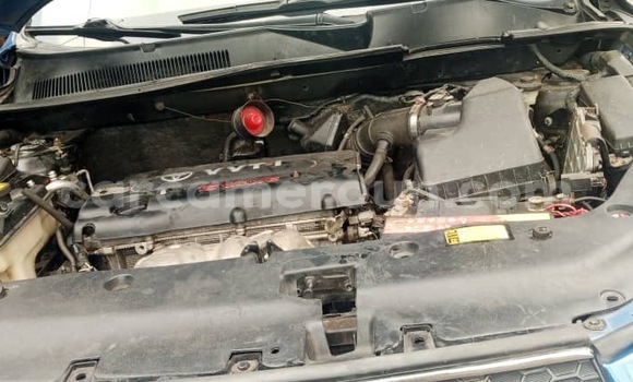 Buy New Toyota RAV4 Blue Car in Douala in Littoral Cameroon Buy New Toyota RAV4 Blue Car in Douala in Littoral Cameroon