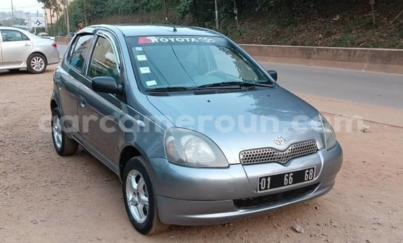 Buy Used Toyota Yaris Silver Car in Yaounde in Central Cameroon Buy Used Toyota Yaris Silver Car in Yaounde in Central Cameroon