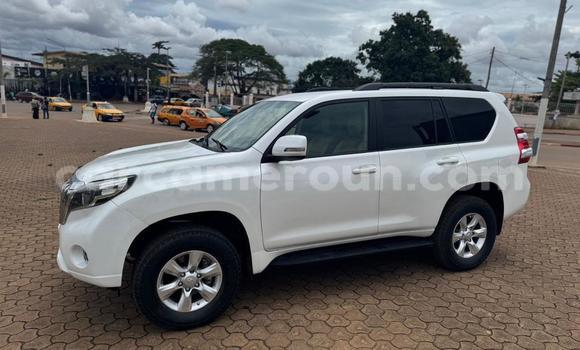 Buy Used Toyota Land Cruiser Prado White Car in Yaounde in Central Cameroon