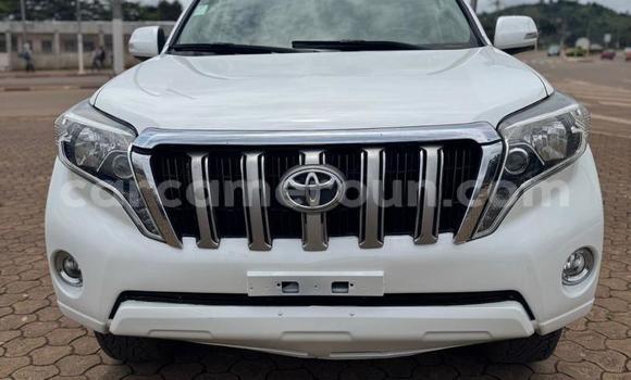 Buy Used Toyota Land Cruiser Prado White Car in Yaounde in Central Cameroon Buy Used Toyota Land Cruiser Prado White Car in Yaounde in Central Cameroon