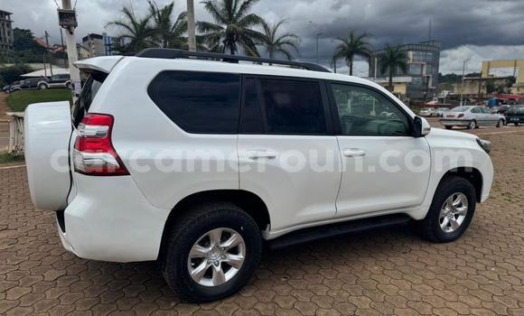 Buy Used Toyota Land Cruiser Prado White Car in Yaounde in Central Cameroon Buy Used Toyota Land Cruiser Prado White Car in Yaounde in Central Cameroon
