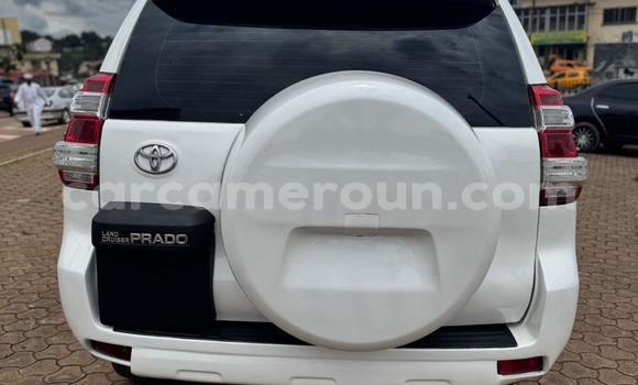 Buy Used Toyota Land Cruiser Prado White Car in Yaounde in Central Cameroon Buy Used Toyota Land Cruiser Prado White Car in Yaounde in Central Cameroon