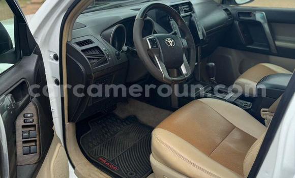 Buy Used Toyota Land Cruiser Prado White Car in Yaounde in Central Cameroon Buy Used Toyota Land Cruiser Prado White Car in Yaounde in Central Cameroon