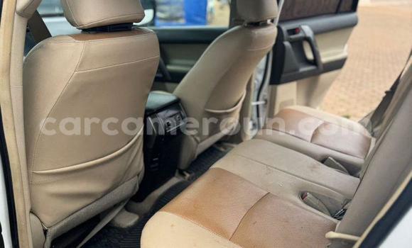 Buy Used Toyota Land Cruiser Prado White Car in Yaounde in Central Cameroon Buy Used Toyota Land Cruiser Prado White Car in Yaounde in Central Cameroon