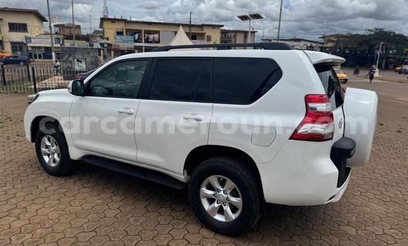 Buy Used Toyota Land Cruiser Prado White Car in Yaounde in Central Cameroon Buy Used Toyota Land Cruiser Prado White Car in Yaounde in Central Cameroon