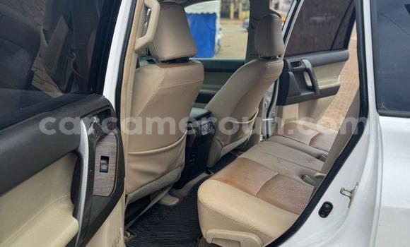 Buy Used Toyota Land Cruiser Prado White Car in Yaounde in Central Cameroon Buy Used Toyota Land Cruiser Prado White Car in Yaounde in Central Cameroon