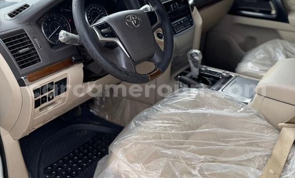 Buy Used Toyota Land Cruiser Prado White Car in Yaounde in Central Cameroon Buy Used Toyota Land Cruiser Prado White Car in Yaounde in Central Cameroon