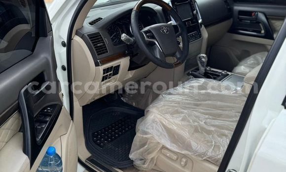 Buy Used Toyota Land Cruiser Prado White Car in Yaounde in Central Cameroon Buy Used Toyota Land Cruiser Prado White Car in Yaounde in Central Cameroon