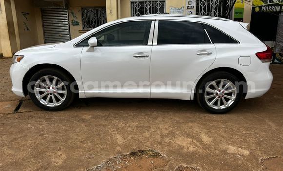 Buy Used Toyota Venza White Car in Yaounde in Central Cameroon
