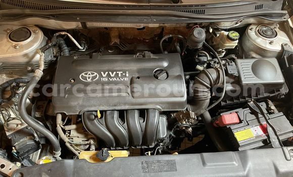 Acheter Occasion Voiture Toyota Corolla Gris à Douala, Littoral Cameroon Acheter Occasion Voiture Toyota Corolla Gris à Douala, Littoral Cameroon