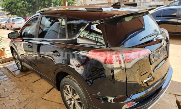 Buy Used Toyota RAV4 Black Car in Yaounde in Central Cameroon Buy Used Toyota RAV4 Black Car in Yaounde in Central Cameroon