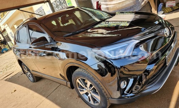 Buy Used Toyota RAV4 Black Car in Yaounde in Central Cameroon Buy Used Toyota RAV4 Black Car in Yaounde in Central Cameroon