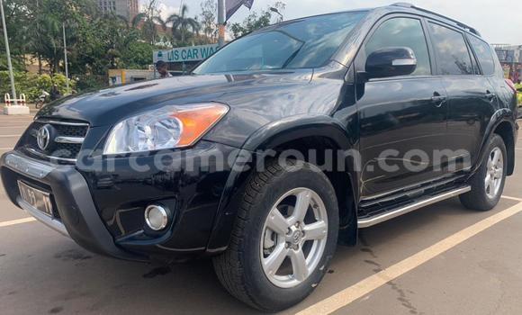 Buy Used Toyota RAV4 Black Car in Yaounde in Central Cameroon